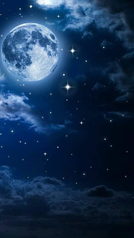 Odoo • Text a Obrázek